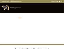 Tablet Screenshot of pawninsurance.com